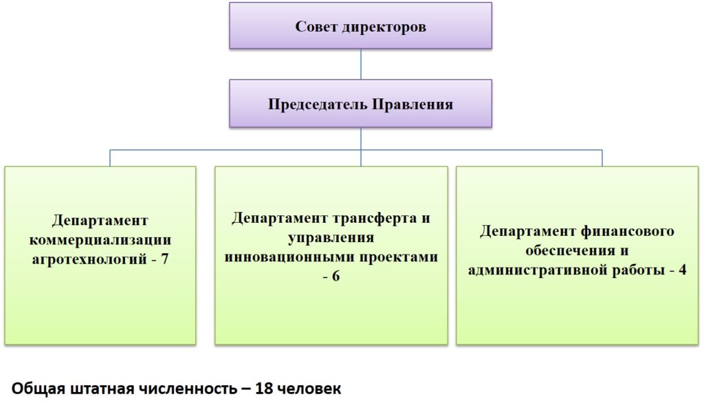 Это изображение имеет пустой атрибут alt; его имя файла - %D0%A1%D1%82%D1%80%D0%B0%D0%BA%D1%82%D1%83%D1%80%D0%B0-%D0%A6%D0%A2%D0%9A%D0%90-2021-1024x596.jpg