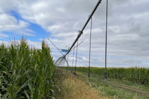 Новые стимулы для внедрения систем орошения разработали в Казахстане